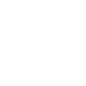 Customize Design